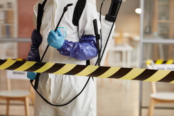 Professional Odor Removal technician working in Salem, IN